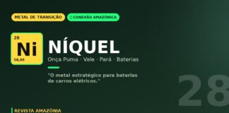 Níquel de Onça Puma: a mina amazônica da Vale que alimenta a transição para carros elétricos