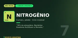 Nitrogênio e leguminosas amazônicas: a fertilidade invisível que sustenta a maior floresta do planeta Nitrogênio e leguminosas amazônicas: a fertilidade invisível que sustenta a maior floresta do planeta