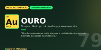 Ouro do Tapajós: a riqueza que envenena rios e povos indígenas no coração da Amazônia