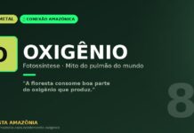 Oxigênio e o mito do pulmão do mundo: o que a química nos ensina sobre a Amazônia