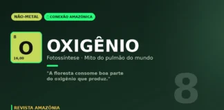 Oxigênio e o mito do pulmão do mundo: o que a química nos ensina sobre a Amazônia Oxigênio e o mito do pulmão do mundo: o que a química nos ensina sobre a Amazônia