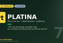 Platina: o metal nobre que vem do Bushveld africano e converte poluentes em carros do mundo todo