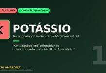 Potássio e terra preta de índio: o solo fértil que civilizações amazônicas criaram há séculos