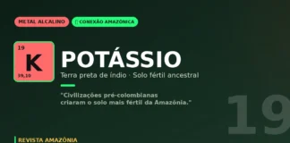 Potássio e terra preta de índio: o solo fértil que civilizações amazônicas criaram há séculos Potássio e terra preta de índio: o solo fértil que civilizações amazônicas criaram há séculos