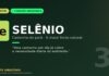 Selênio da castanha-do-pará: o micronutriente da Amazônia que cabe em uma fruta