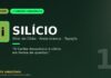 Silício de Alter do Chão: o Caribe Amazônico em forma de quartzo branco no Tapajós
