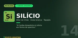 Silício de Alter do Chão: o Caribe Amazônico em forma de quartzo branco no Tapajós Silício de Alter do Chão: o Caribe Amazônico em forma de quartzo branco no Tapajós