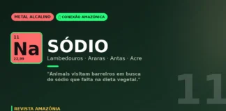 Sódio dos lambedouros amazônicos: por que araras e antas se encontram nas salinas do Acre Sódio dos lambedouros amazônicos: por que araras e antas se encontram nas salinas do Acre
