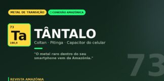 Tântalo de Pitinga: o metal raro que está dentro do seu celular vem da Amazônia