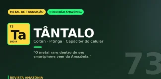 Tântalo de Pitinga: o metal raro que está dentro do seu celular vem da Amazônia Tântalo de Pitinga: o metal raro que está dentro do seu celular vem da Amazônia
