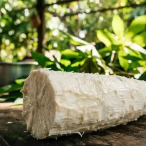 Lendas amazônicas e palavras tupis: como a tradição oral consolidada molda a identidade e a biodiversidade do Brasil