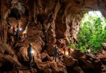 O potencial do turismo sustentável na preservação das cavernas amazônicas e a riqueza biológica das ilhas fluviomarinhas do Pará