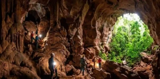 O potencial do turismo sustentável na preservação das cavernas amazônicas e a riqueza biológica das ilhas fluviomarinhas do Pará