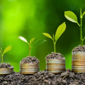 A Embrapa lidera oficinas de bioeconomia na Amazônia para consolidar um futuro sustentável alinhado à preservação ambiental