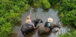 O potencial do turismo sustentável na preservação das cavernas amazônicas e a riqueza biológica das ilhas fluviomarinhas do Pará