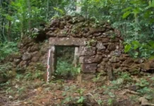 A Arqueologia revela como a Amazônia foi moldada por antigas civilizações em uma simbiose milenar entre homem e floresta