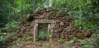 A Arqueologia revela como a Amazônia foi moldada por antigas civilizações em uma simbiose milenar entre homem e floresta