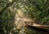 Como o termo igarapé revela o profundo mapeamento hidrográfico feito pelos povos indígenas na Floresta Amazônica