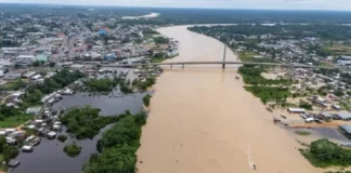 Como a pulsação do Rio Amazonas orquestra a vida e o destino de espécies raras e ameaçadas na floresta tropical