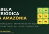 Revista Amazônia lança Tabela Periódica da Amazônia, glossário interativo dos 118 elementos químicos e sua conexão com a maior floresta do planeta