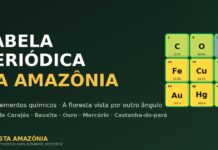 Revista Amazônia lança Tabela Periódica da Amazônia, glossário interativo dos 118 elementos químicos e sua conexão com a maior floresta do planeta