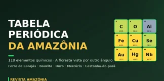 Revista Amazônia lança Tabela Periódica da Amazônia, glossário interativo dos 118 elementos químicos e sua conexão com a maior floresta do planeta Revista Amazônia lança Tabela Periódica da Amazônia, glossário interativo dos 118 elementos químicos e sua conexão com a maior floresta do planeta