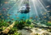 Como os santuários de águas cristalinas da Amazônia promovem o ecoturismo sustentável através da flutuação em rios totalmente preservados
