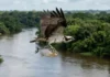 Como a águia-pescadora usa a engenharia aerodinâmica natural para transportar peixes pesados até o ninho na Amazônia