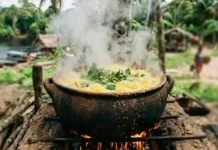 Como a ancestralidade tupi transformou o tucupi extraído da mandioca brava em iguaria segura na culinária da Amazônia