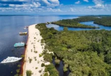 Entenda a dinâmica que faz centenas de ilhas aparecerem e sumirem nas águas escuras da Amazônia durante as mudanças de estação.