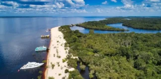 Entenda a dinâmica que faz centenas de ilhas aparecerem e sumirem nas águas escuras da Amazônia durante as mudanças de estação.