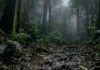 A lenda mítica da Caipora e a selva brasileira: o formidável guardião ecológico protetor de todos os animais