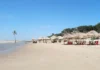 A fascinante Praia do Pesqueiro e a imensa Ilha de Marajó: o formidável encontro ecológico silvestre