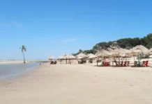 A fascinante Praia do Pesqueiro e a imensa Ilha de Marajó: o formidável encontro ecológico silvestre
