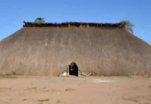 A milenar engenharia das malocas indígenas da Amazônia: a incrível tecnologia ancestral que constrói abrigos coletivos sem pregos ou cimento