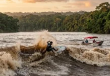 Pororoca do Tupi à onda sagrada dos surfistas amazônicos