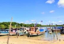 Como a Ilha de Algodoal no Pará proíbe carros e usa o turismo sustentável para proteger os manguezais da Amazônia