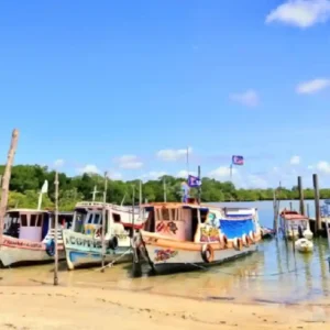 Como a Ilha de Algodoal no Pará proíbe carros e usa o turismo sustentável para proteger os manguezais da Amazônia