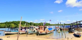 Como a Ilha de Algodoal no Pará proíbe carros e usa o turismo sustentável para proteger os manguezais da Amazônia