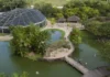Como a recuperação do Mangal das Garças em Belém combina conservação ambiental e ecoturismo urbano na Amazônia