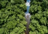 Como a palavra tupi igarapé traduz com exatidão o conceito geográfico de caminho de canoa que mapeia a hidrografia da Amazônia