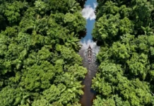 Como a palavra tupi igarapé traduz com exatidão o conceito geográfico de caminho de canoa que mapeia a hidrografia da Amazônia