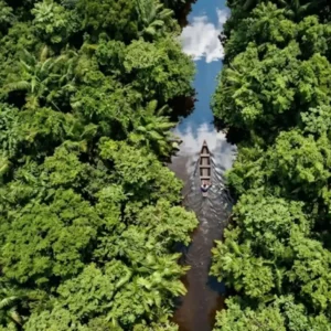 Como a palavra tupi igarapé traduz com exatidão o conceito geográfico de caminho de canoa que mapeia a hidrografia da Amazônia
