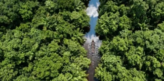 Como a palavra tupi igarapé traduz com exatidão o conceito geográfico de caminho de canoa que mapeia a hidrografia da Amazônia
