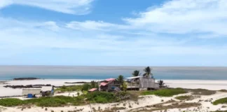 Como a Ilha de Algodoal proíbe veículos motorizados e utiliza o ecoturismo para proteger manguezais e dunas no Pará