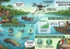 Drones Brasileiros: A Revolução na Contagem Aérea de Pirarucus e a Transformação do Manejo Comunitário na Amazônia