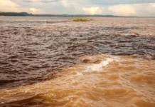 O abraço que não se mistura: como o Encontro das Águas revela a hidroquímica amazônica e atrai o turismo científico