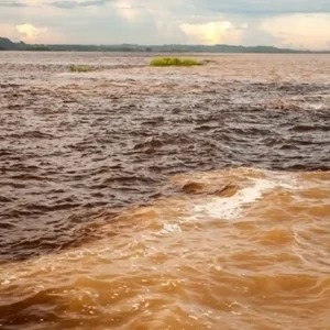 O abraço que não se mistura: como o Encontro das Águas revela a hidroquímica amazônica e atrai o turismo científico