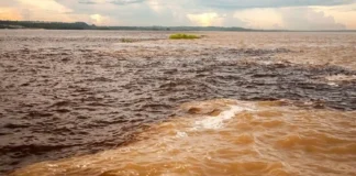 O abraço que não se mistura: como o Encontro das Águas revela a hidroquímica amazônica e atrai o turismo científico