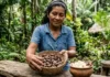 Como a tradicional manteiga de murumuru extraída na floresta amazônica revoluciona a cosmetologia global e impulsiona a bioeconomia nacional